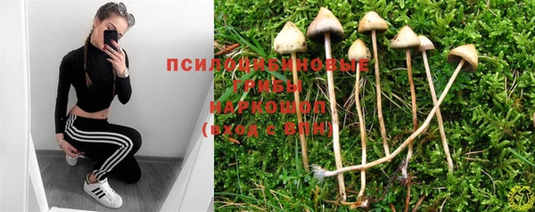 мяу мяу мука Кулебаки