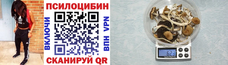 Галлюциногенные грибы прущие грибы  Купить где  Балахна 